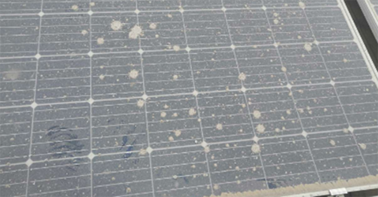 3.png 14587639_1759043500.png